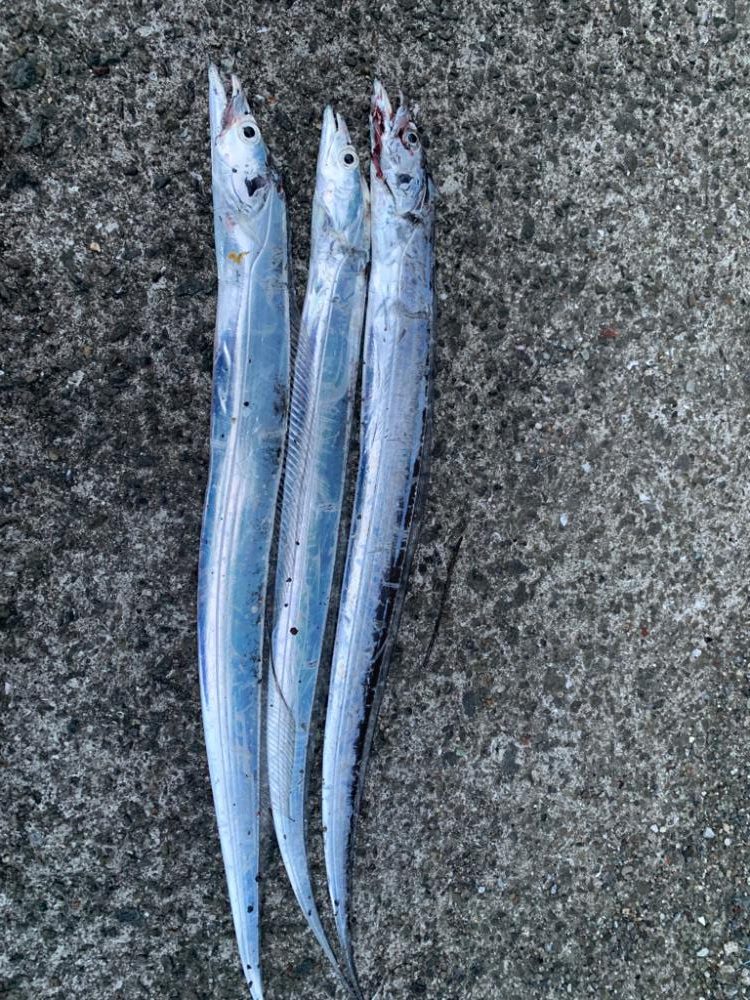 自分だけ渋い状況でした…