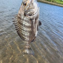 君も立派なフィッシュイーター。