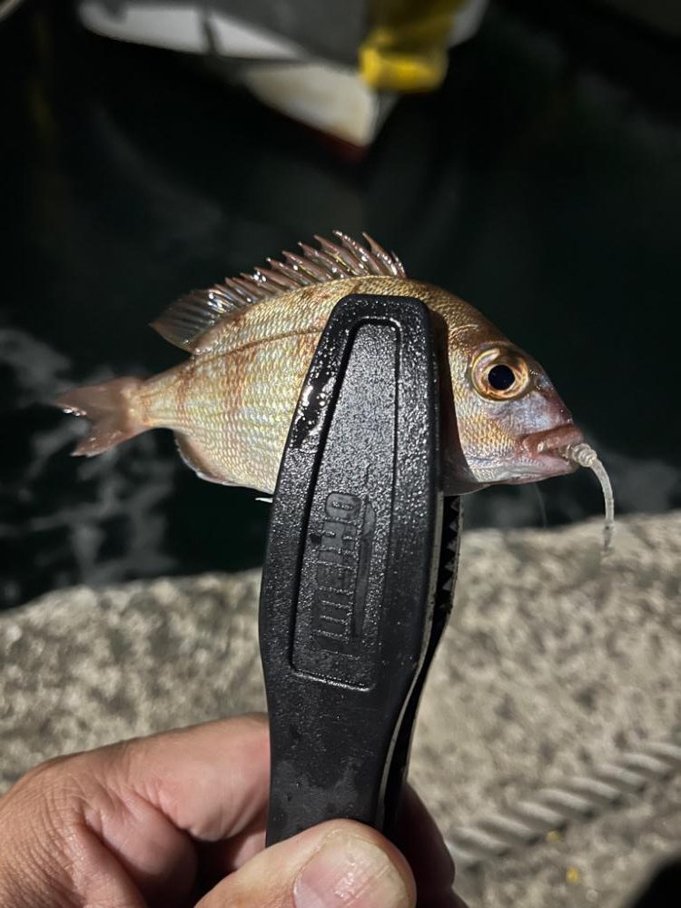 オールナイトアジング