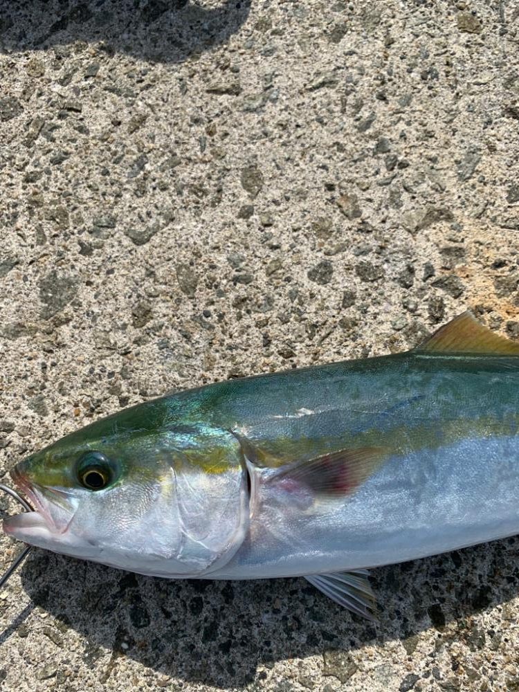 初の複数安打！