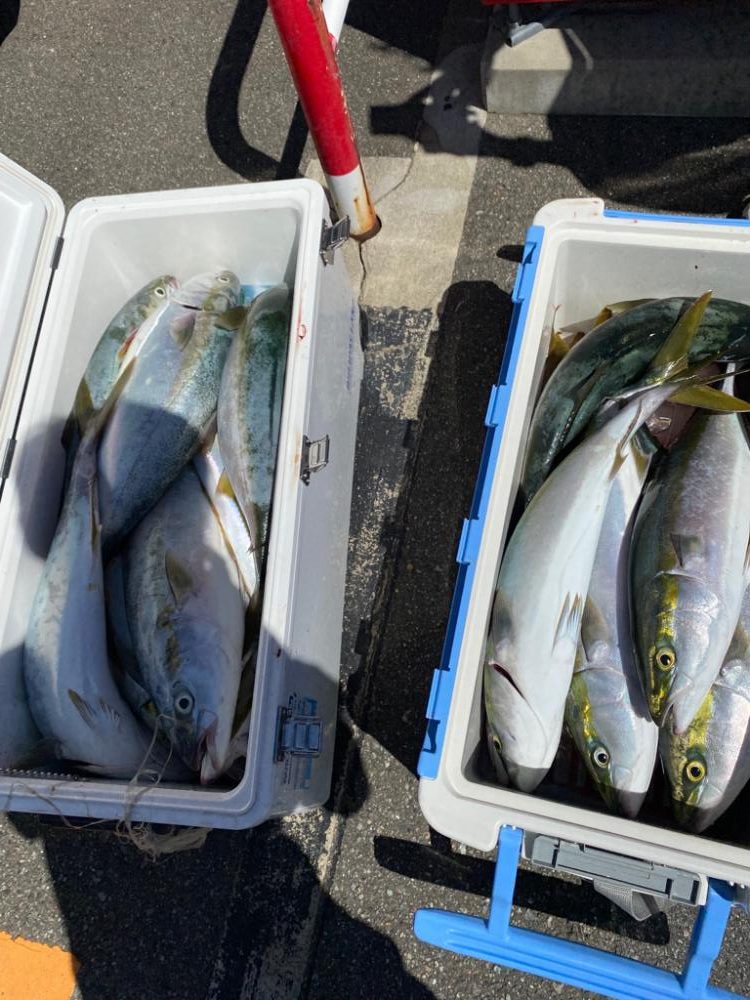 明石激流ジギング