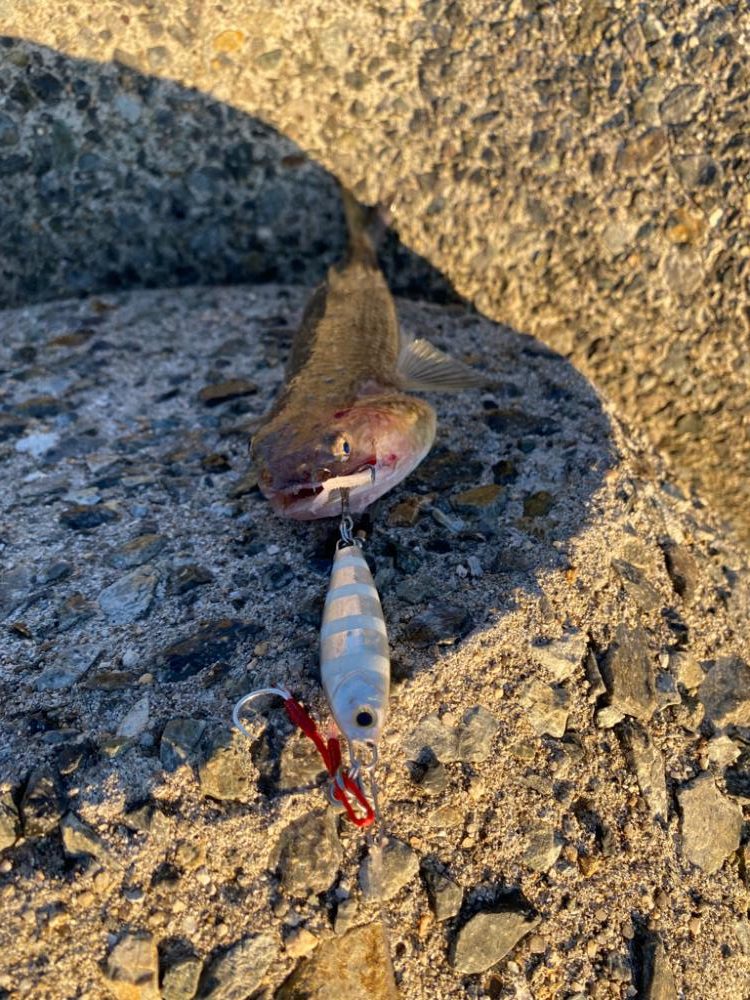 ブリクラスバレた…