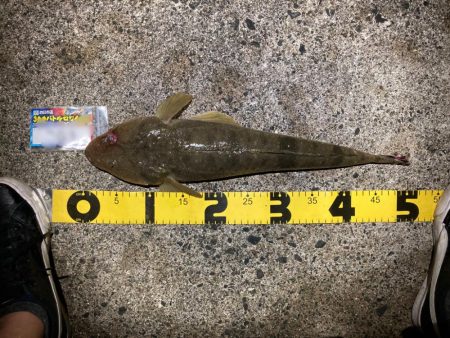 マゴチフィッシング