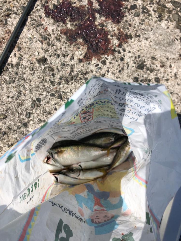 初の沖堤！ショアジギ！