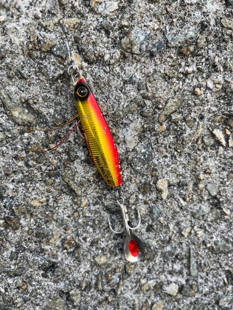 神明、こないだバラしたデカいヤツ