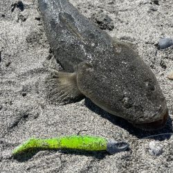 激渋のなかなんとか一本出せました…