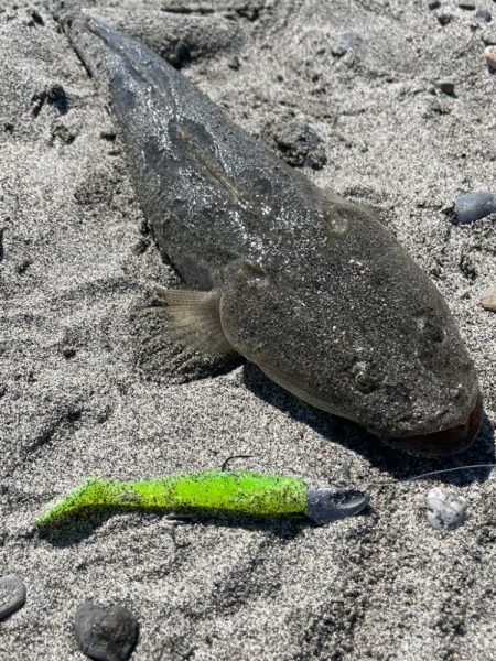 激渋のなかなんとか一本出せました…