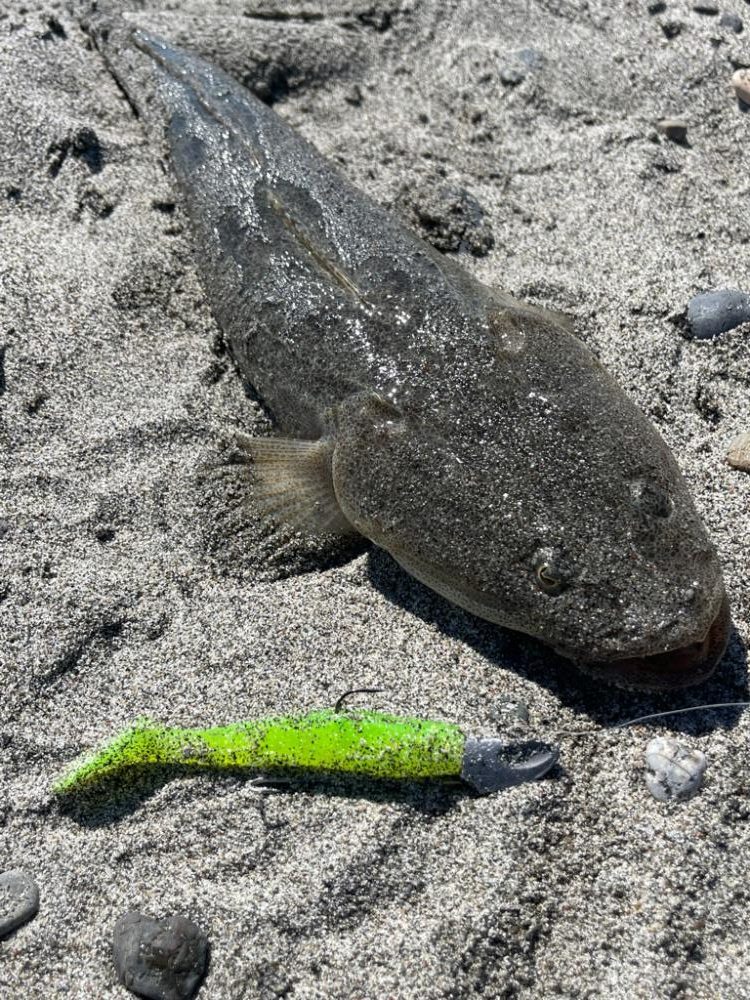 激渋のなかなんとか一本出せました😂