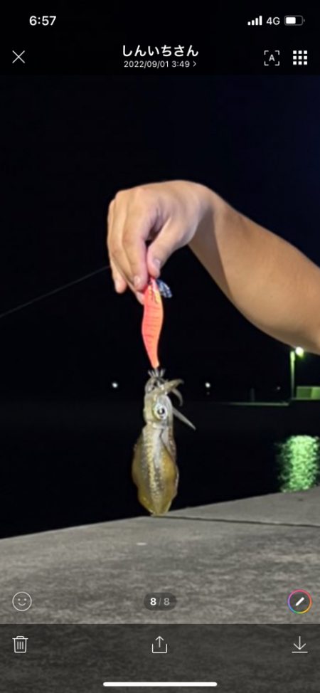 常夜灯場でのエギング！