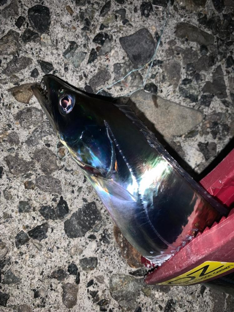 今季、初タチ！