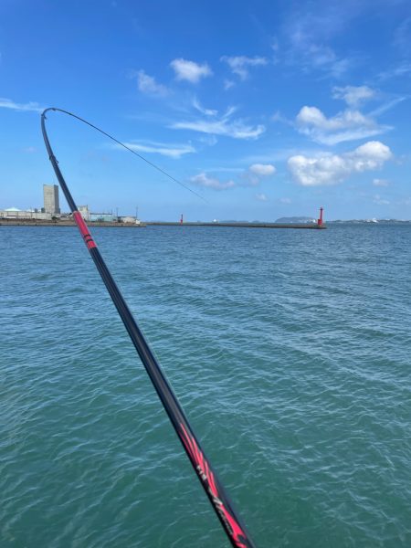 近場でチヌ釣り