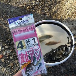 平磯海釣り公園で