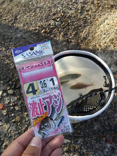 平磯海釣り公園で