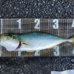 サイズアップならず(>_<)