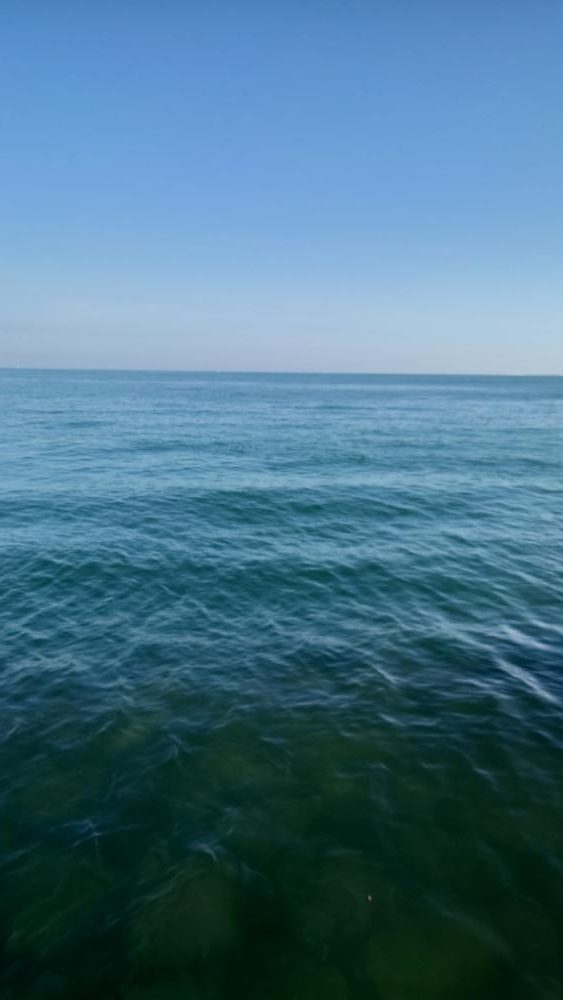 ナブラ打ちでツバス