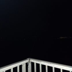 タチウオ引き釣り②