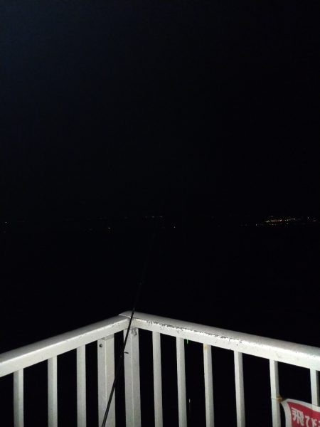 タチウオ引き釣り②