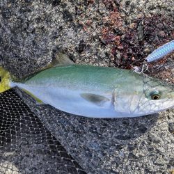 秋のショアジギング