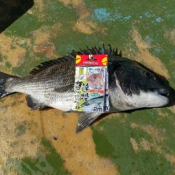 久しぶりのカセ釣り☆