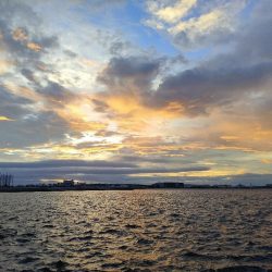 西宮ケーソン サバ祭