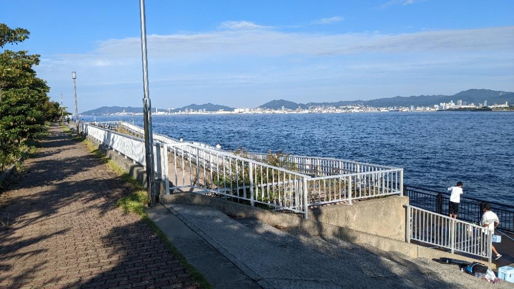 今期二本目青物!