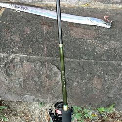 昼間のタチウオ