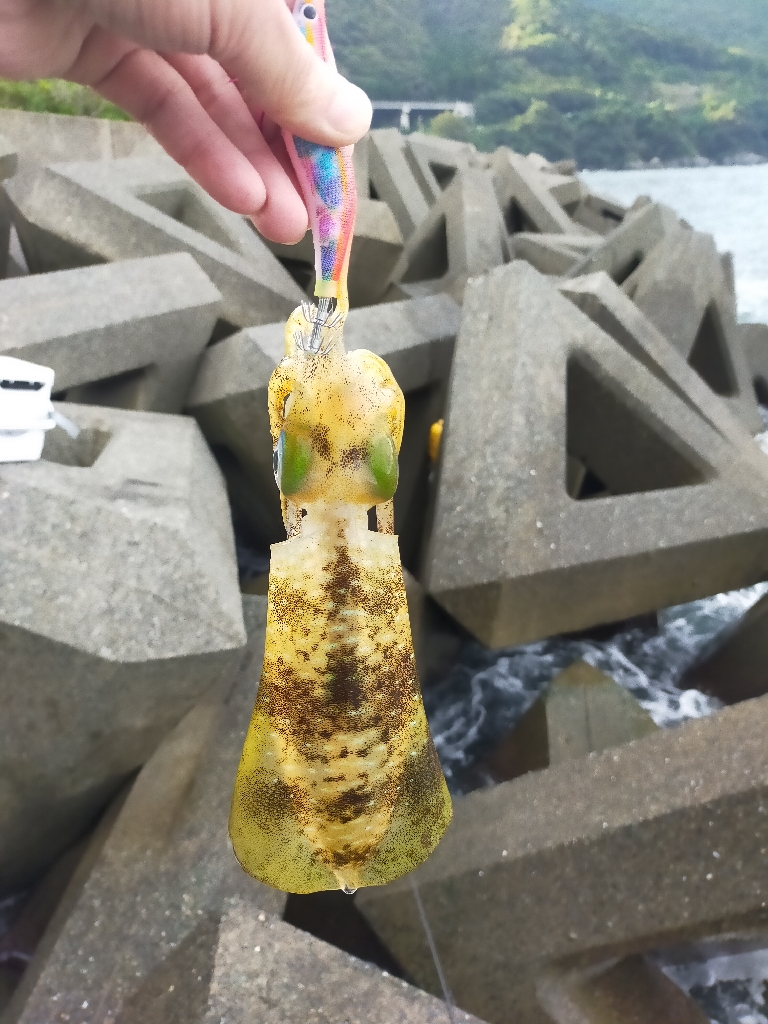 台風の影響か🌀