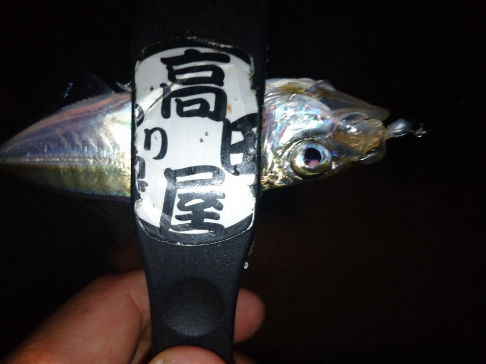 爆風入れ食い😆