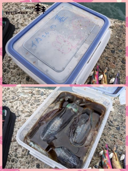 サイズ狙うと渋いけど(・×・)