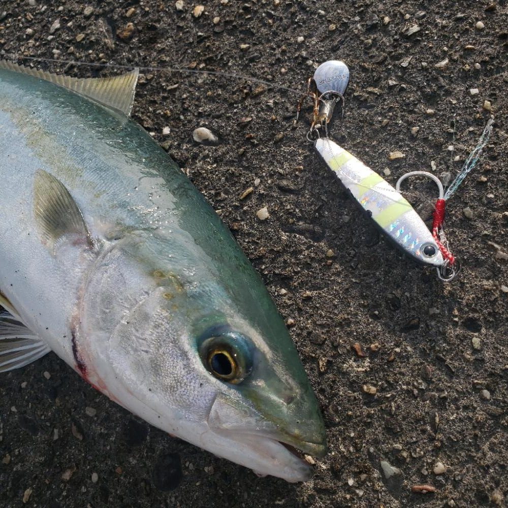 おはようツバス君!