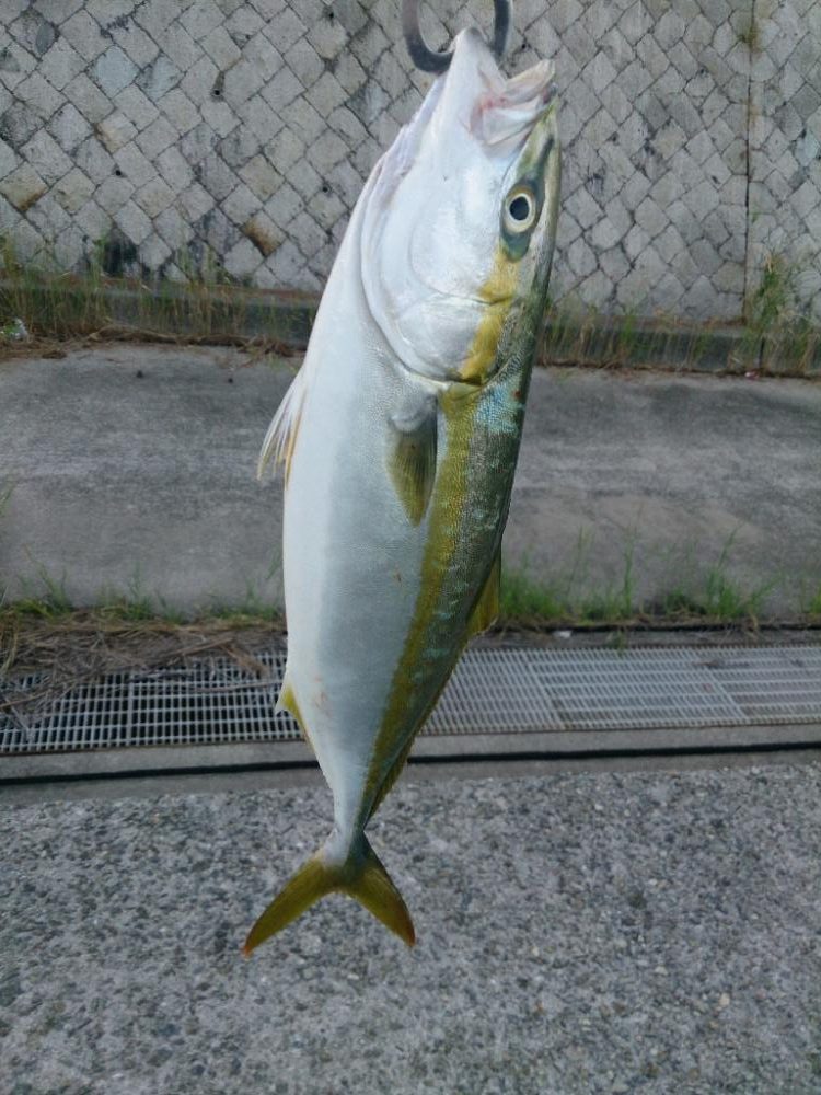 台風前にショアジギ