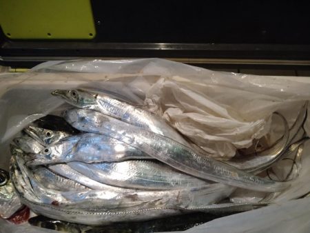 初青物ジギング