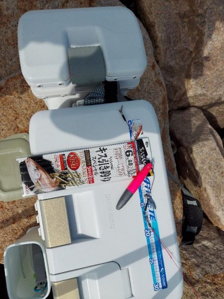 初場所にてキス釣り