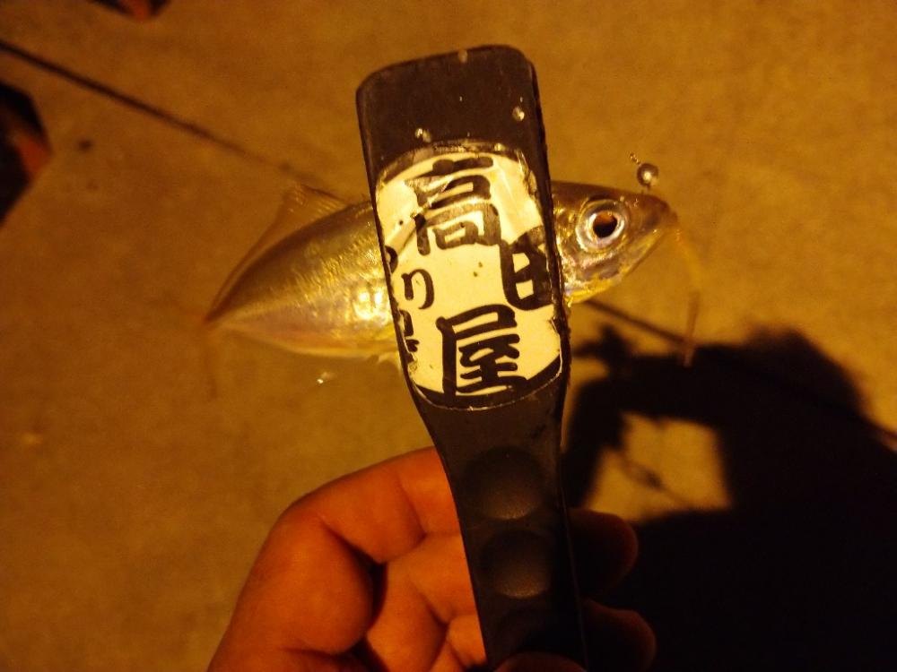 今夜はやや渋目