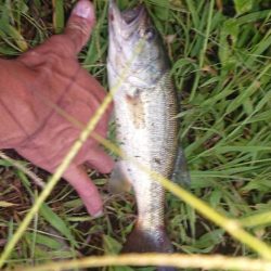 パワーフィネスで1本