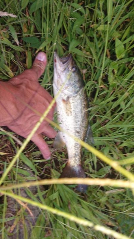 パワーフィネスで1本