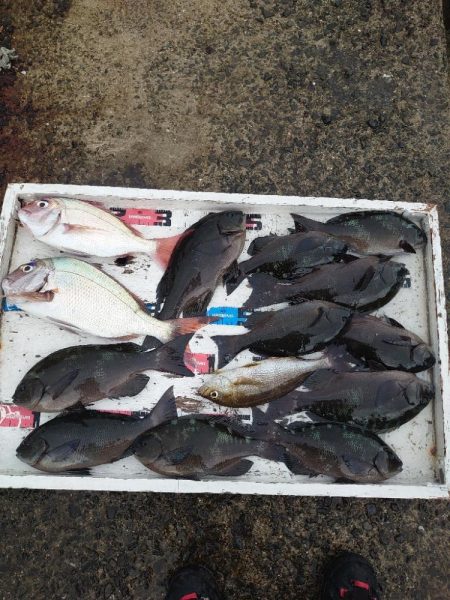 クロ釣り(畝刈)