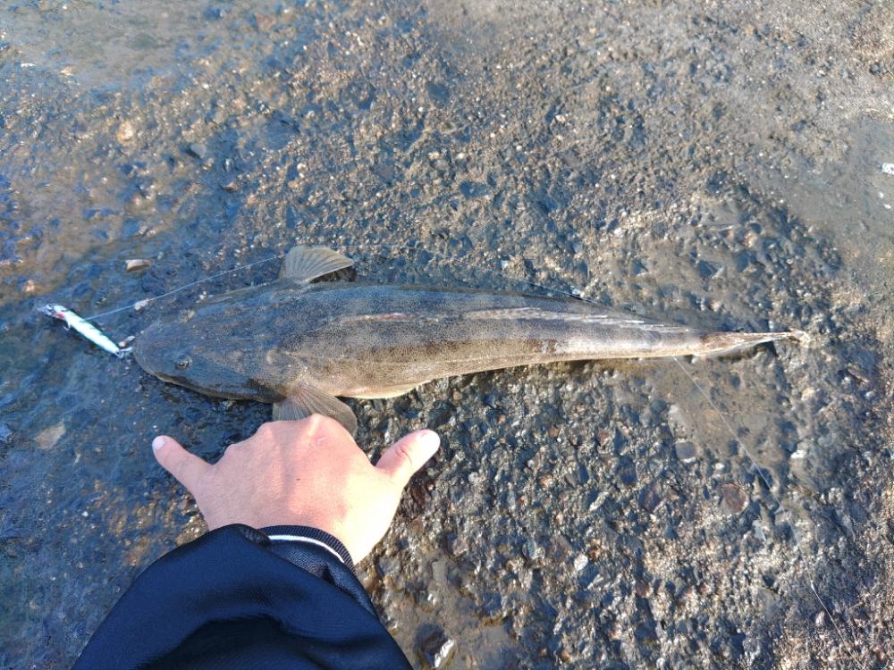 久しぶりに朝練成功♪