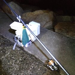 苅屋海岸のキス釣り