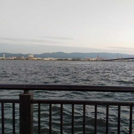 朝練で大サバ、ハマチ