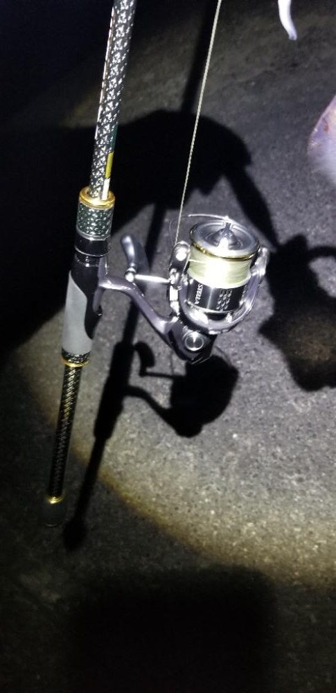 塩津で数釣り。エギング