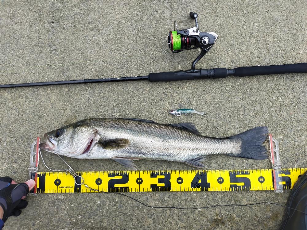 コアマンの夏デイゲーム!