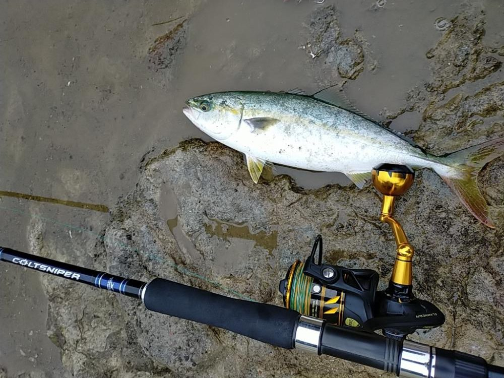 少しずつサイズアップ?