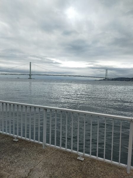 ショアジギング