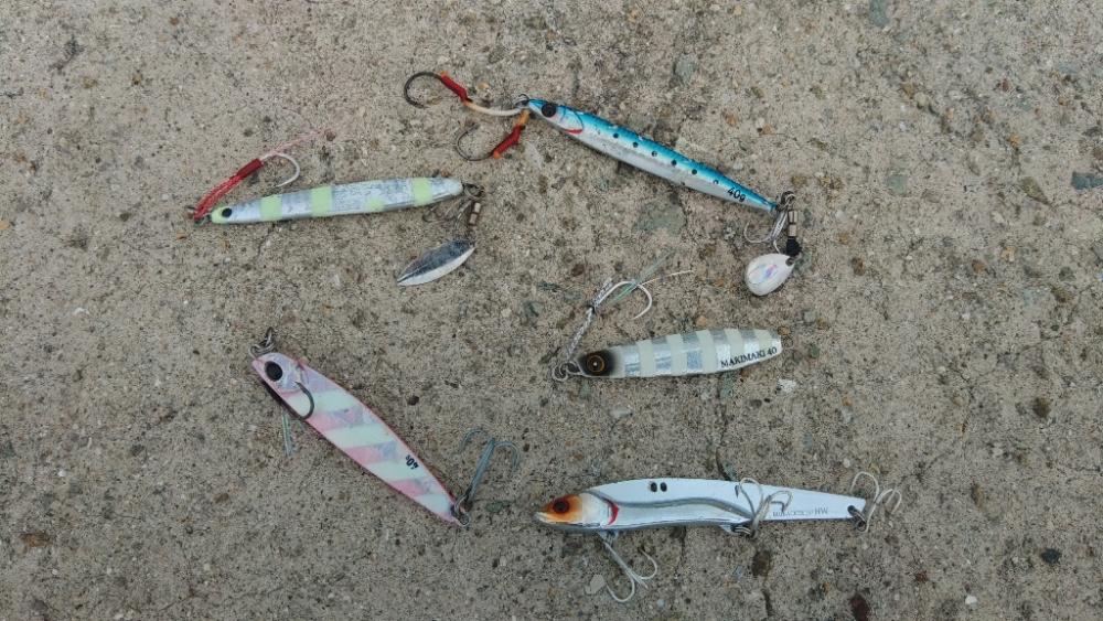 ショアジギング