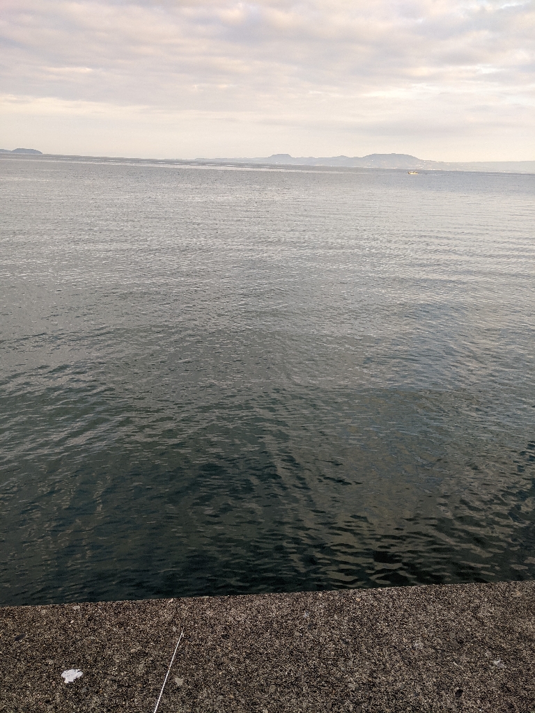 上津浦似てキス釣り