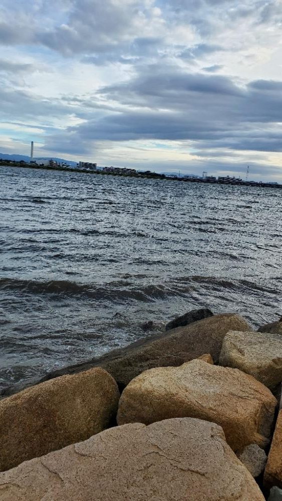 強風の中釣れたのはいつもの