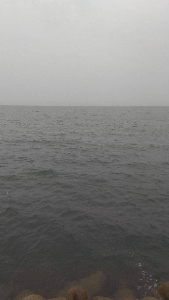 1バイト 1フィッシュ