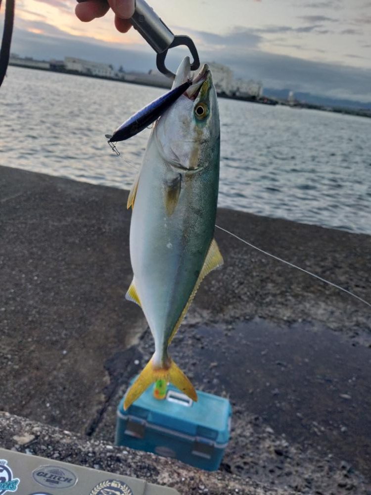 秋シーズン開幕！