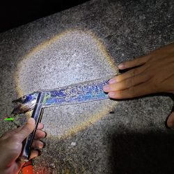 風予報とは裏腹に…